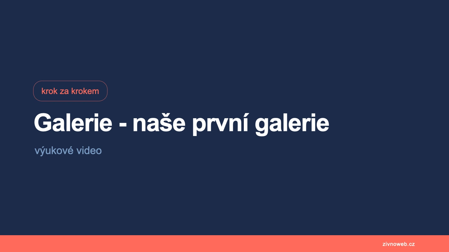Odesílání náhledů a předání hotových fotek klientovi